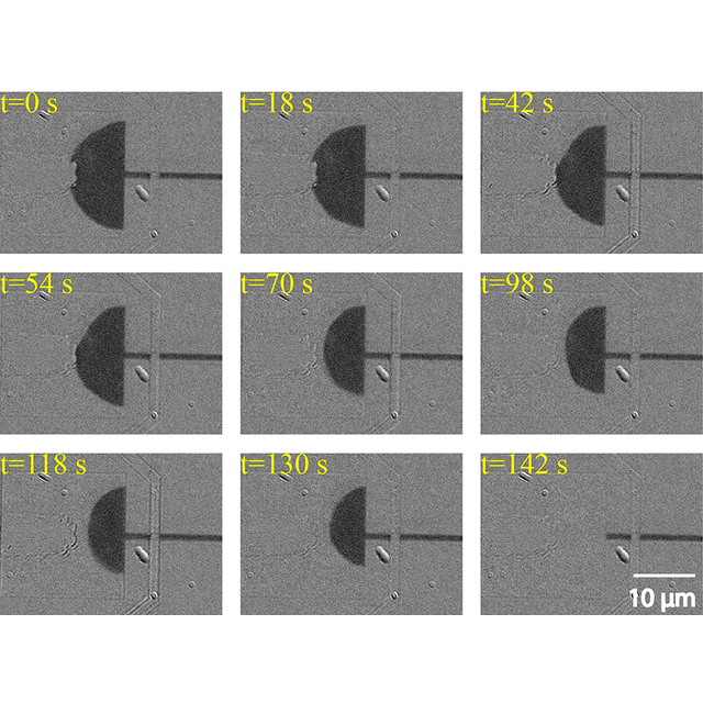 image not available