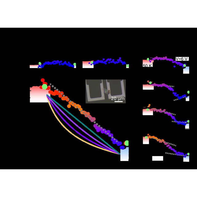 semin image